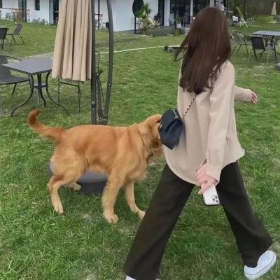 中国营长
