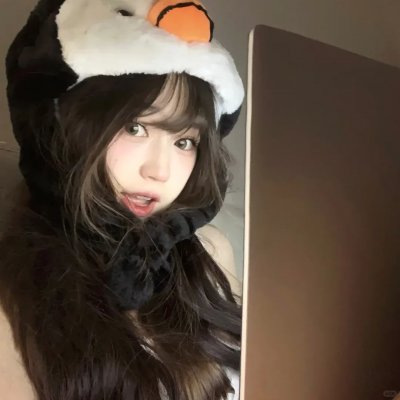 镇国驸马爷